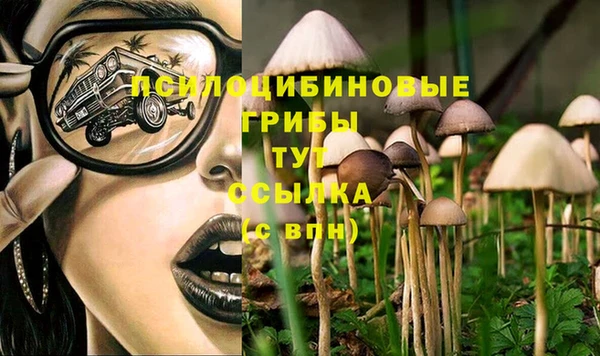 трава Арсеньев