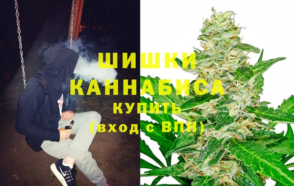 трава Арсеньев